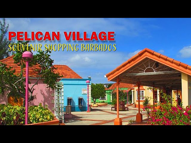 Explore Barbados: Pelican Village Tourist Shopping and Souvenir Hotspot