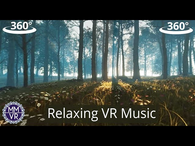 Relax In the Woods - Meditation Music for YouTube VR 360