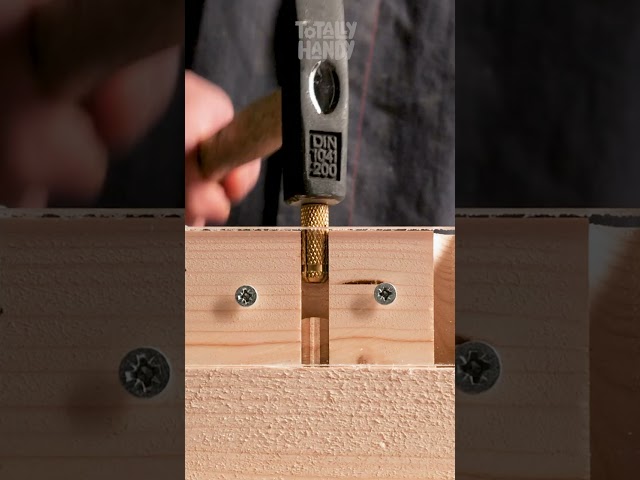 Screw Hacks for Fast and Easy DIY Projects! 🔩