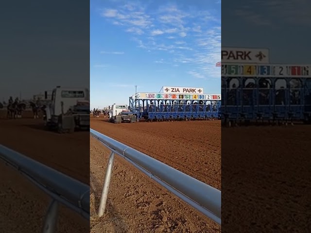 horse rears in the gate scary situation