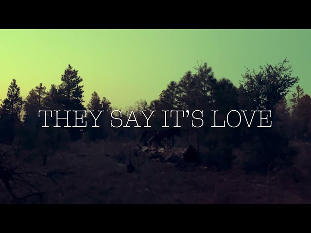 They Say It’s Love - the dissonant dystopian