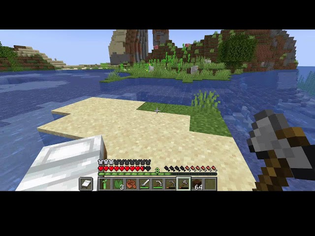 Minecraft Stream