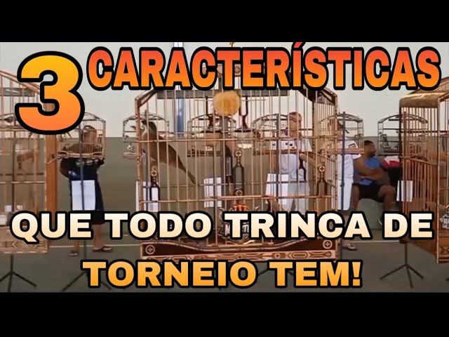 3 CARACTERÍSTICAS QUE TODO TRINCA FERRO DE TORNEIO TEM!