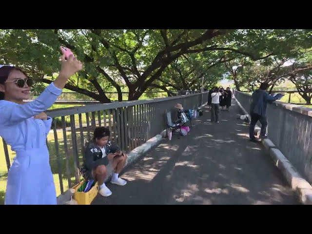 Benchakitti Skywalk to The Green Mile Connecting Benchakitti Park to Lumphini Park