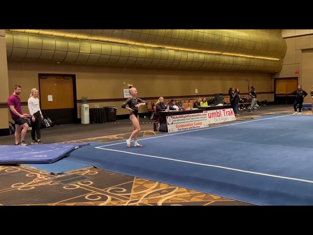 Level 10 Floor Routine (9.625)