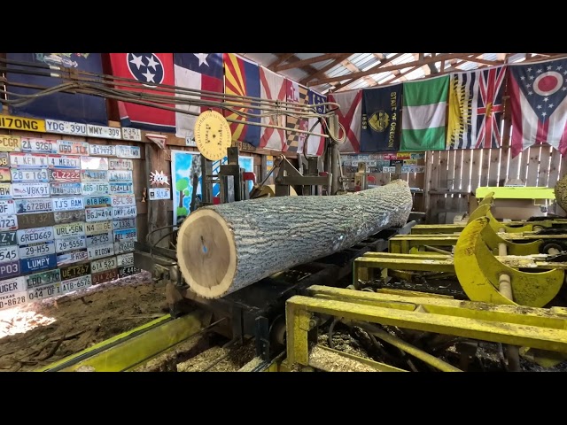 sawing 10' poplar 2x6s # 662