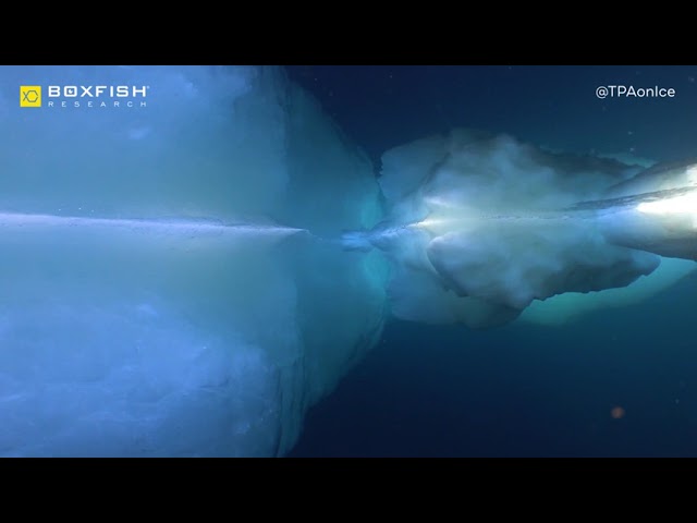 Boxfish Antarctica Video Series. Ice & Light