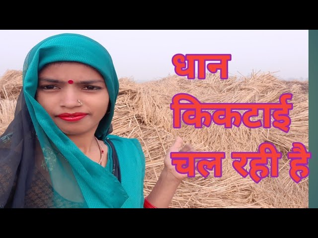 धान कि कटाई  चल रहा है | लेबर से कटाई हो रहा है | daily life style vlog #vlog#vlogs#dailyvlog#👍🌹🌹🌹