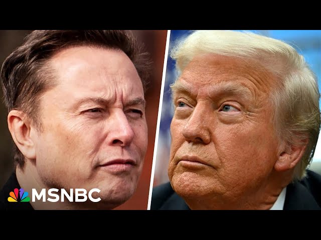 'Slash and dash': Trump says Musk should be even 'more aggressive' with cuts