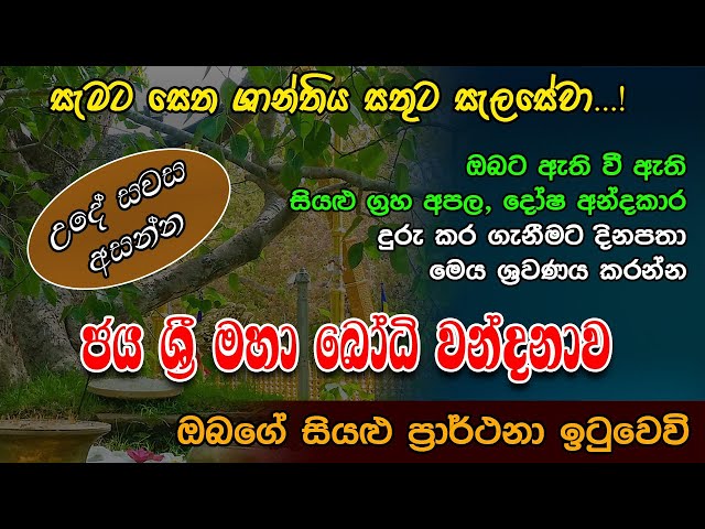 ජය ශ්‍රී මහා බොධ වන්දනාව | Most Powerful Chanting | Wandana Gatha