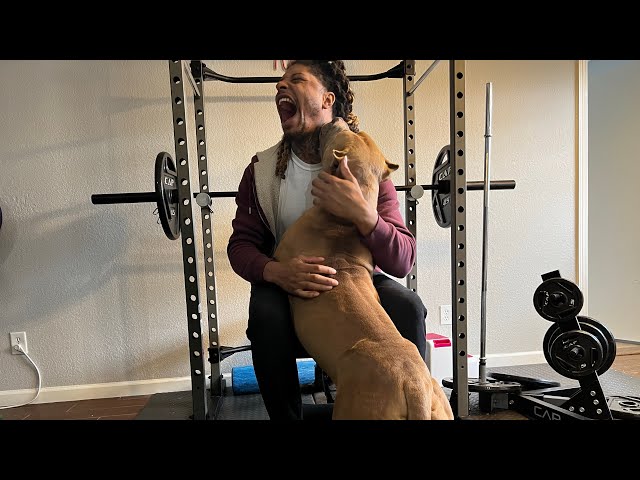 XL Pitbull Attacks Owner Neck 🤬😩‼️. (Hulk Grandson) DDK NBF