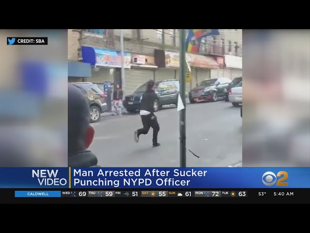 Man Caught On Camera Punching Officer