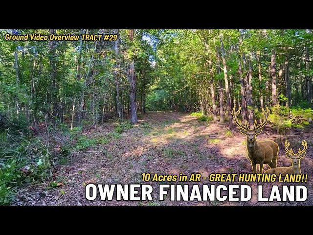 10 Acres of Great Hunting land [$1,500 Down] Owner Financed Land for Sale in AR WZ29 #land #offgrid