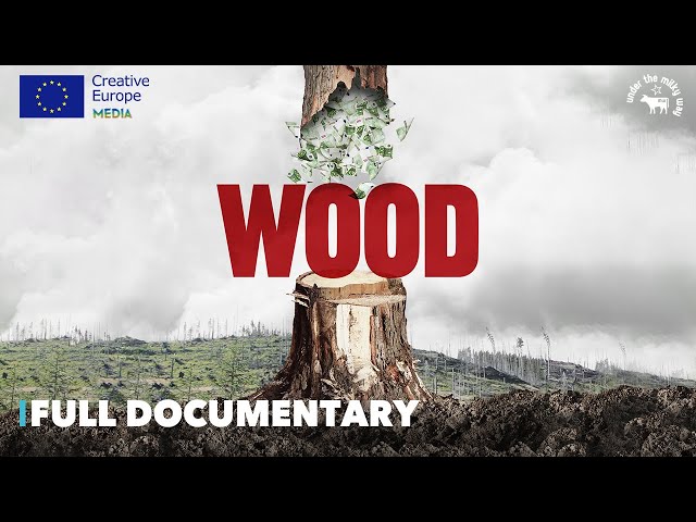 Wood (2020) |🌳Nature | Full Documentary