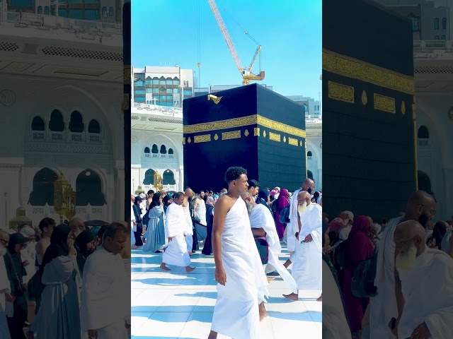 Taj Dara Haram cowaly of Atif Aslam | Cowaly #khanakabba #Holyplaces #IslamisBest #muslimsmotivation