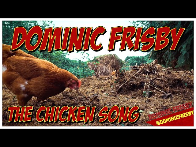 Chicken Song aka The Zen of the Hen