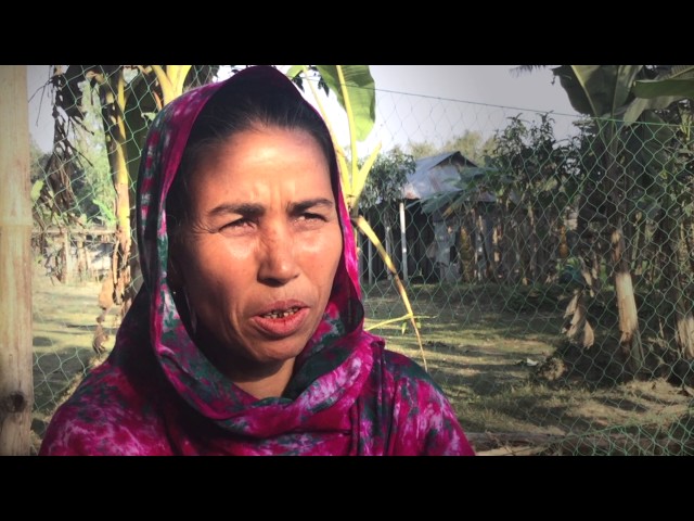 Flooding in Northern Bangladesh - Chapter 1: Shelter