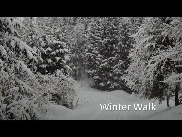 Winter Walk & Coffee Outside | Zugerberg, Switzerland