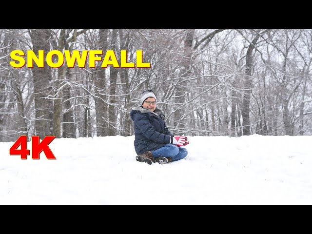 First Snowfall of the season 4K || Snowfall at Rockville, MD, USA