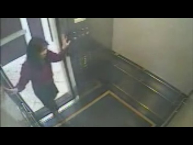 Elisa Lam Elevator Footage /// True Crime Garage