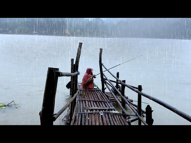 Enjoying Heavy Rain by the Sea | Goodbye Stress and Lack of Sleep | Rain ASMR Weater