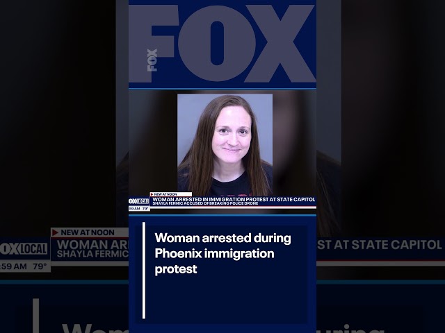 Woman arrested during Phoenix immigration protest