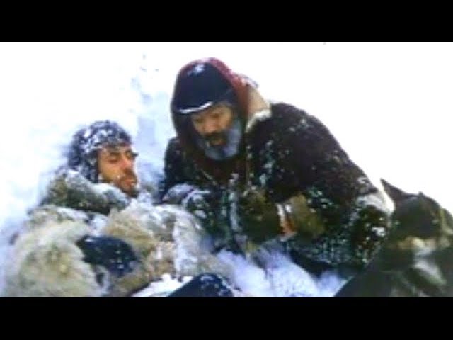 WHITE FANG AND THE HUNTER | Robert Woods | Full Length Western Movie | English | HD | 720p