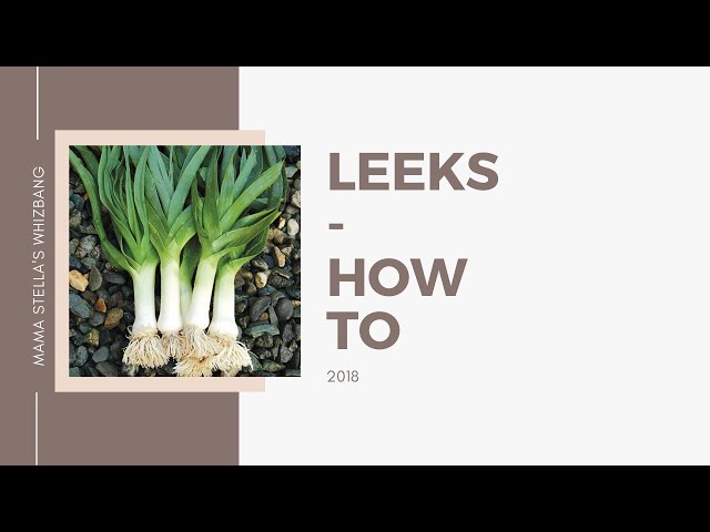 Leeks - How to