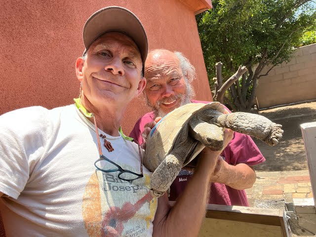 30 year old Desert Tortoise & 2 Box Turtles come to  TortoiseLand