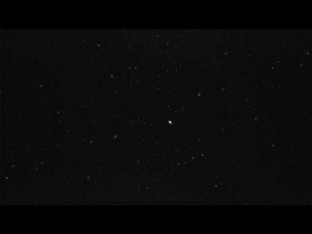 HD particles dust FREE DOWNLOAD light real footage SNOW overlay green screen after effects premiere