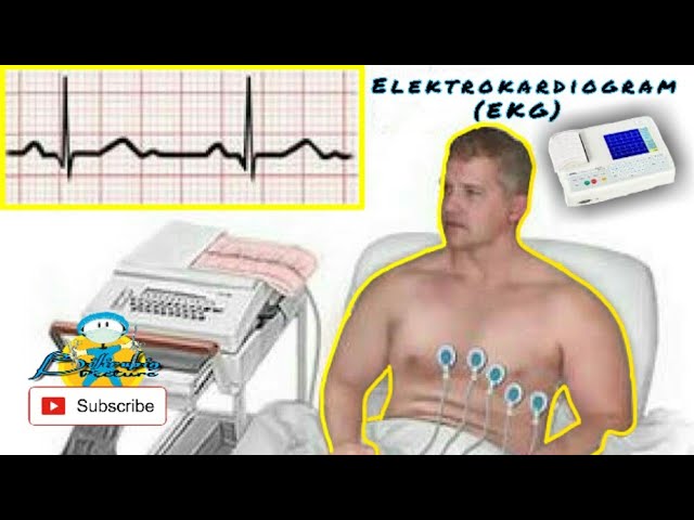 Electrocardiogram (ECG) examination