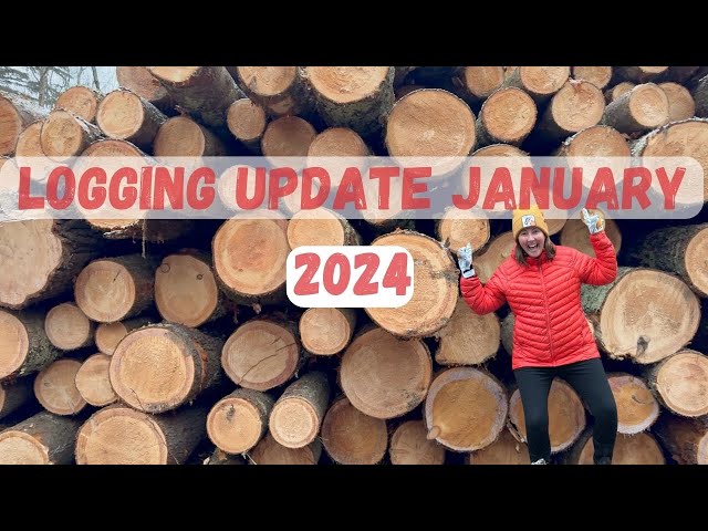 Well-Managed Forestry in Vermont | Selective Logging in our Forest Community January 2024 Update