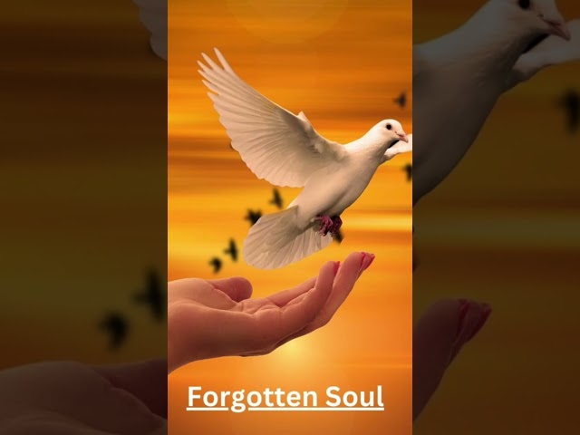 Forgotten Soul – An epic soundtrack for lost soulshttps://youtu.be/Jp8IMx6lCXE