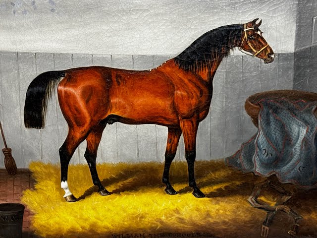 Gelding Race Horse William The Conqueror In Stable by Samuel Spode