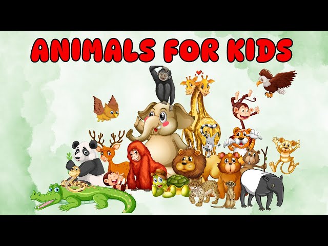 Animals Names - Wild & Domestic Animals with pictures and sounds for Kids | Toddlers | Preschoolers