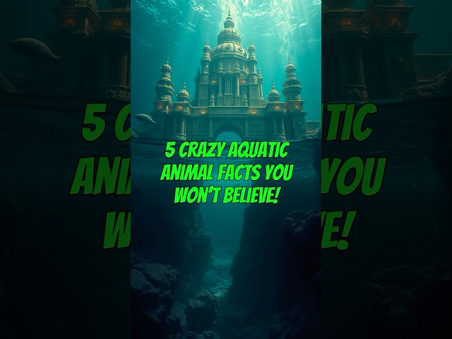 5 Crazy Aquatic Animal Facts You Won't Believe!