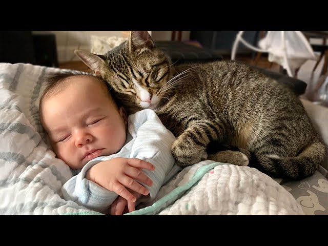 FUNNIEST Baby and Cat Duo Ever! 👶🐱 Cute Cats and Human