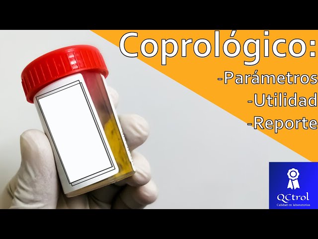 COPROLOGICAL Exam: What does it include and what is its usefulness?