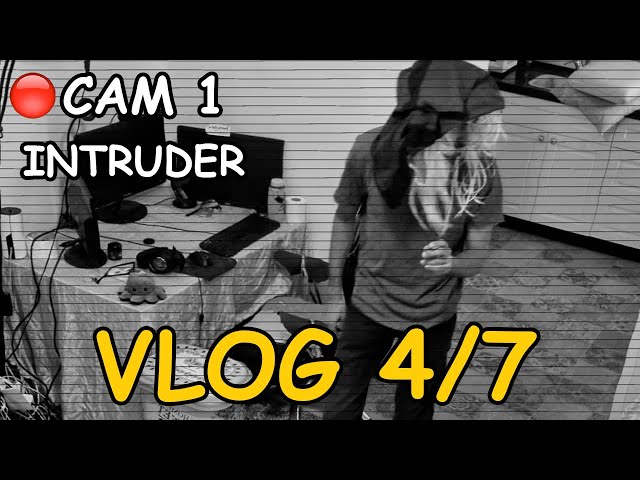 Day 4 - Intruder caught on hidden camera!