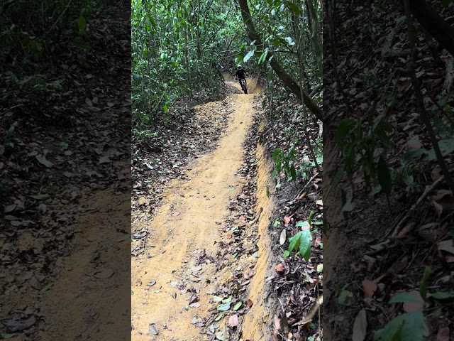 📍Trilha da Raiz Rampa nova #Downhill #mtb #bikelife #monjopefreeride #freeride #enduro #trailslife