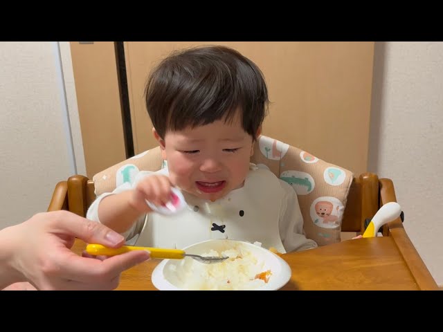 🌈 Mugi says no to hamburg steak!? Picky eating starts at dinner time (1y5m8d No.9)