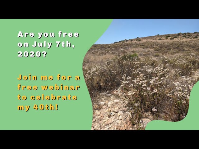 Join me to celebrate my 40th with a free webinar!