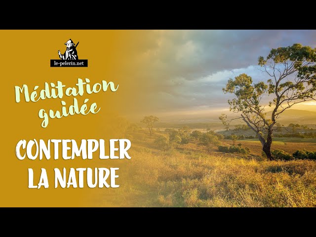 MÉDITATION GUIDÉE 🌳 Contempler la nature