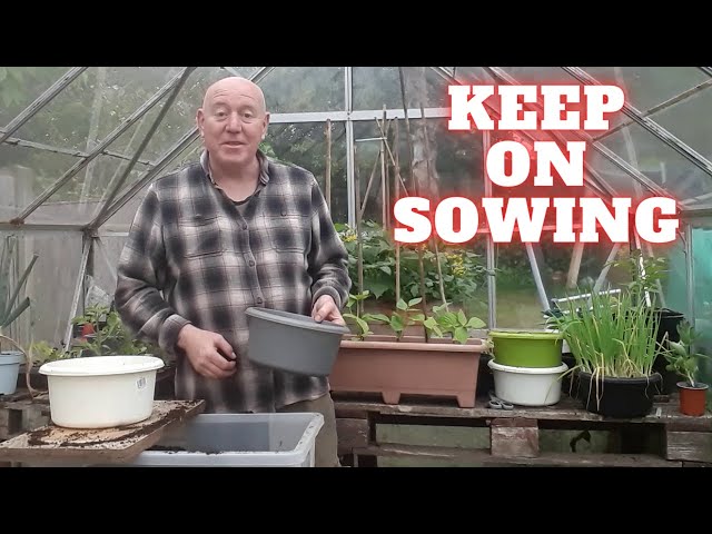 Keep On Sowing [Gardening Allotment UK] [Grow Vegetables At Home ]