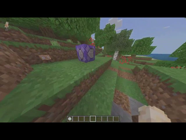 crazy minecraft command