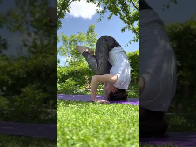 Vinyasa Yoga Triangle Pose