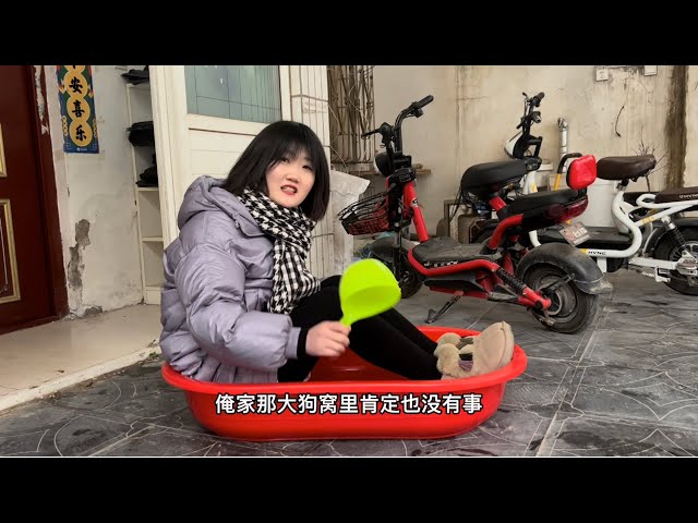 白雪三十块钱给狗网购澡盆，二猪吃醋也想要，奶奶生气的吐槽瞎折腾