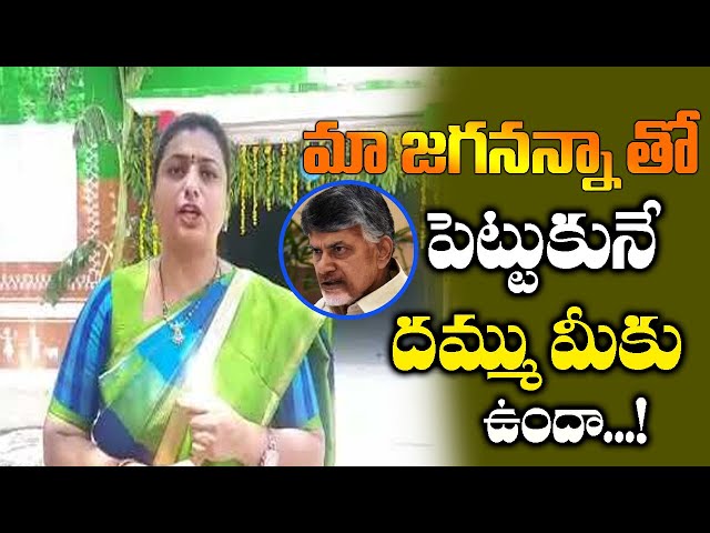 Nagiri Mla Roja Shocking Comments on TDP Leaders | MLA Roja | Politicaltoday