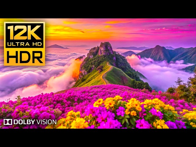 UNSEEN Beauty of EARTH 12K HDR 120fps Dolby Vision