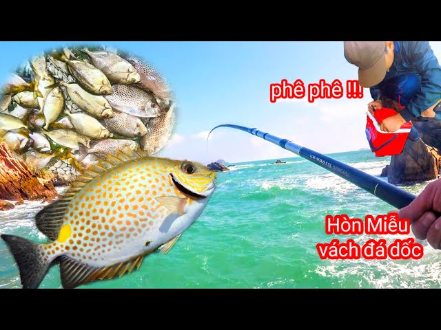 The Latest Natural Sea Fishing in 2025, Steep Cliffs of Mieu Island, Win Terrible Sea Fish